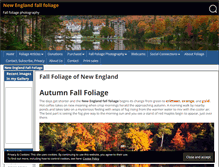Tablet Screenshot of jeff-foliage.com